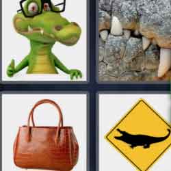 4 pics 1 word 9 letters crocodile with glasses, bag, sign
