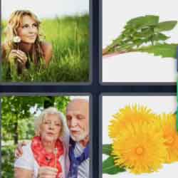 4 pics 1 word 9 letters woman with yellow flowers