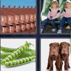 4 pics 1 word 9 letters dogs peas girls houses