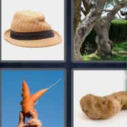 4 pics 1 word 9 letters hat, carrot, trees