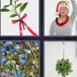 4 pics 1 word 9 letters branch with red bow, woman with santa hat