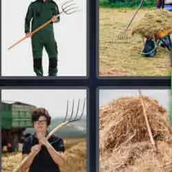 4 pics 1 word 9 letters gallows, farmer, cereals