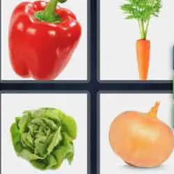 4 pics 1 word 9 letters bell pepper, lettuce, onion, carrot