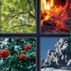 4 pics 1 word fire roses