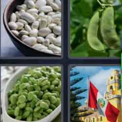 4 pics 1 word flag white beans