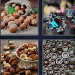 4 pics 1 word hazelnuts