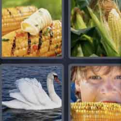 4 pics 1 word 3 letters swan, corn, cobs