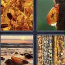 4 pics 1 word 5 letters daily news